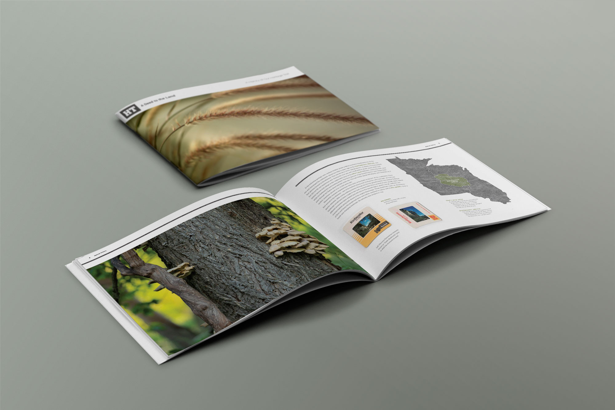 natural-history-spread-cover