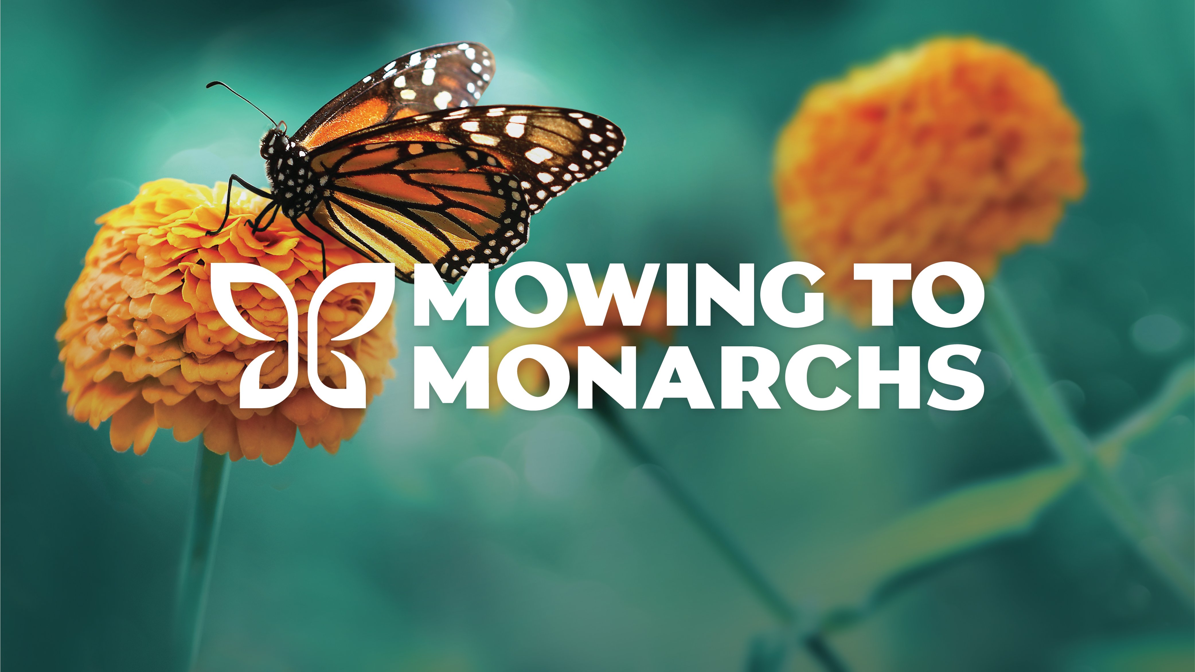 mowing-to-monarchs-logo-08