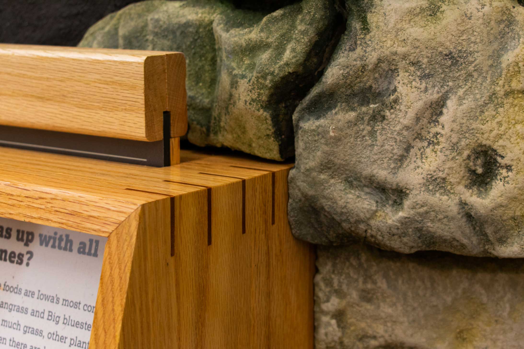 Customer story media