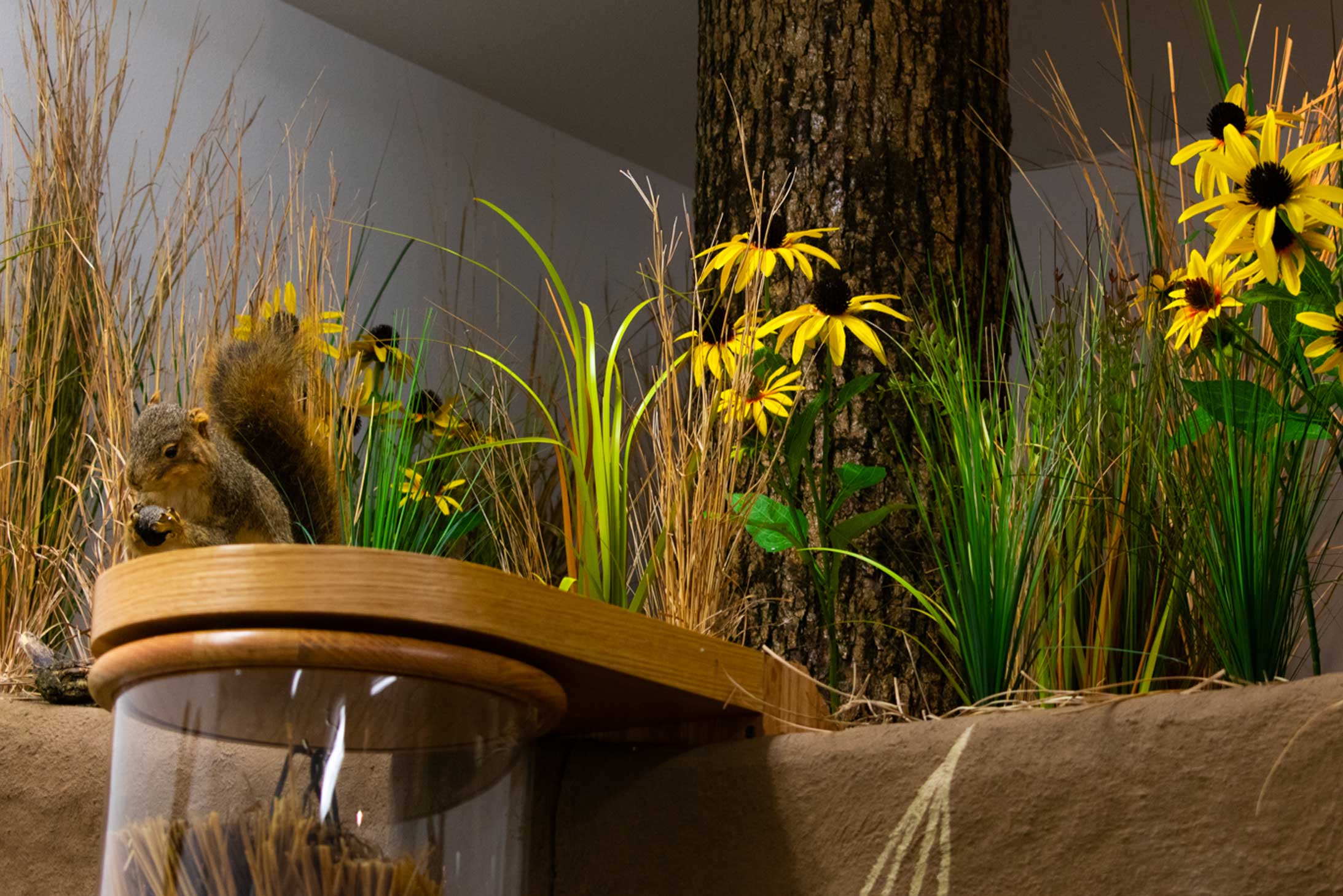 Customer story media