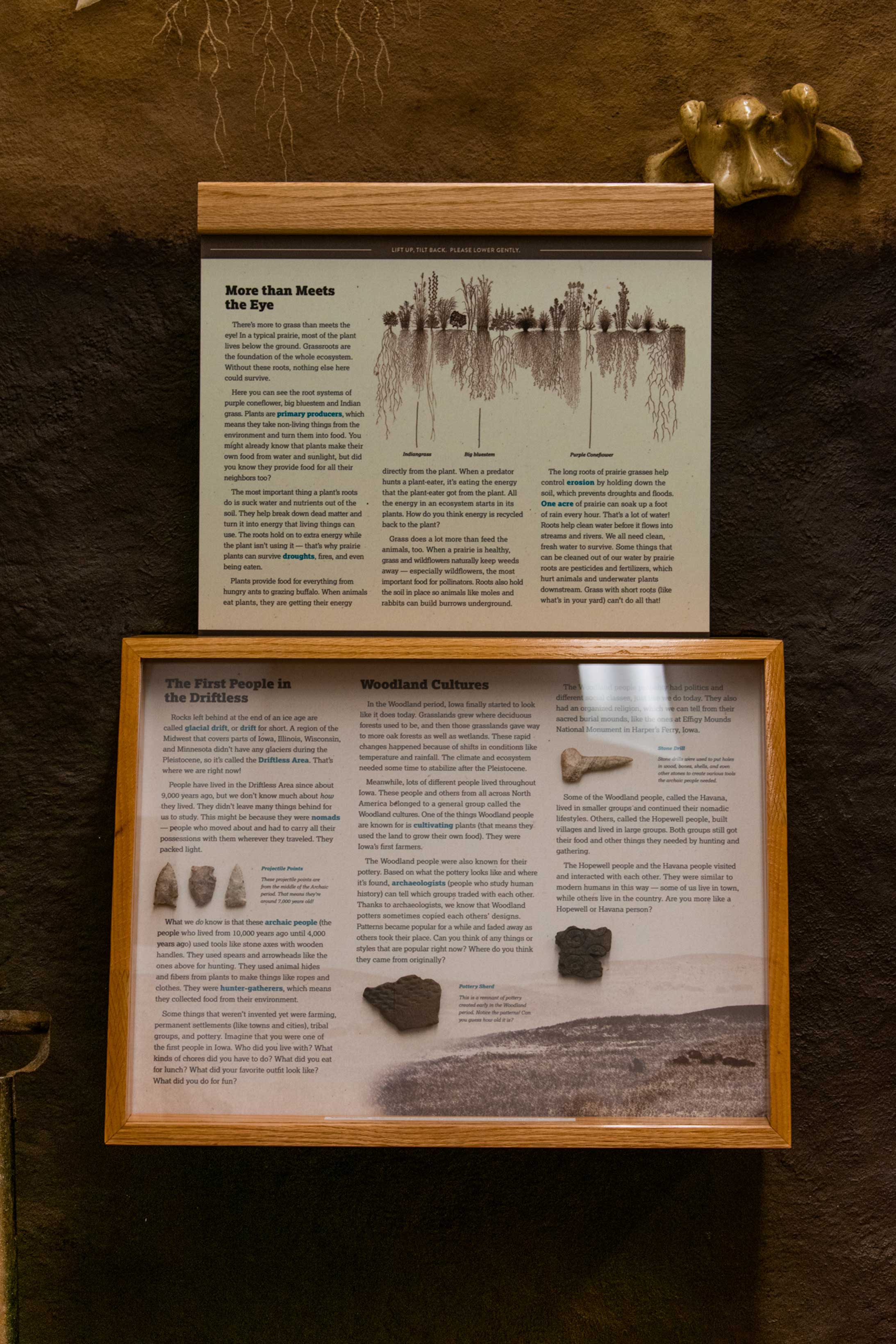 Customer story media