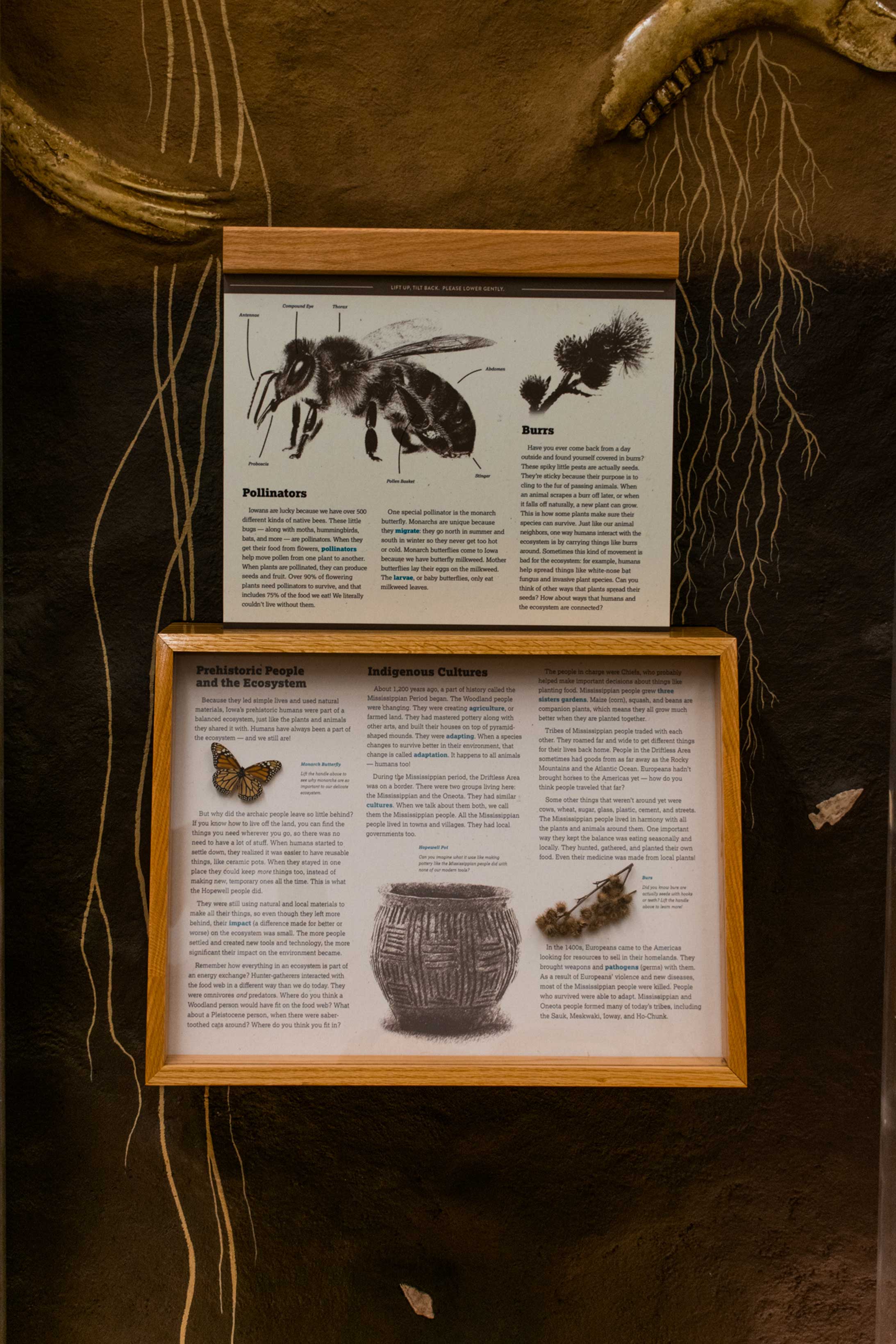 Customer story media