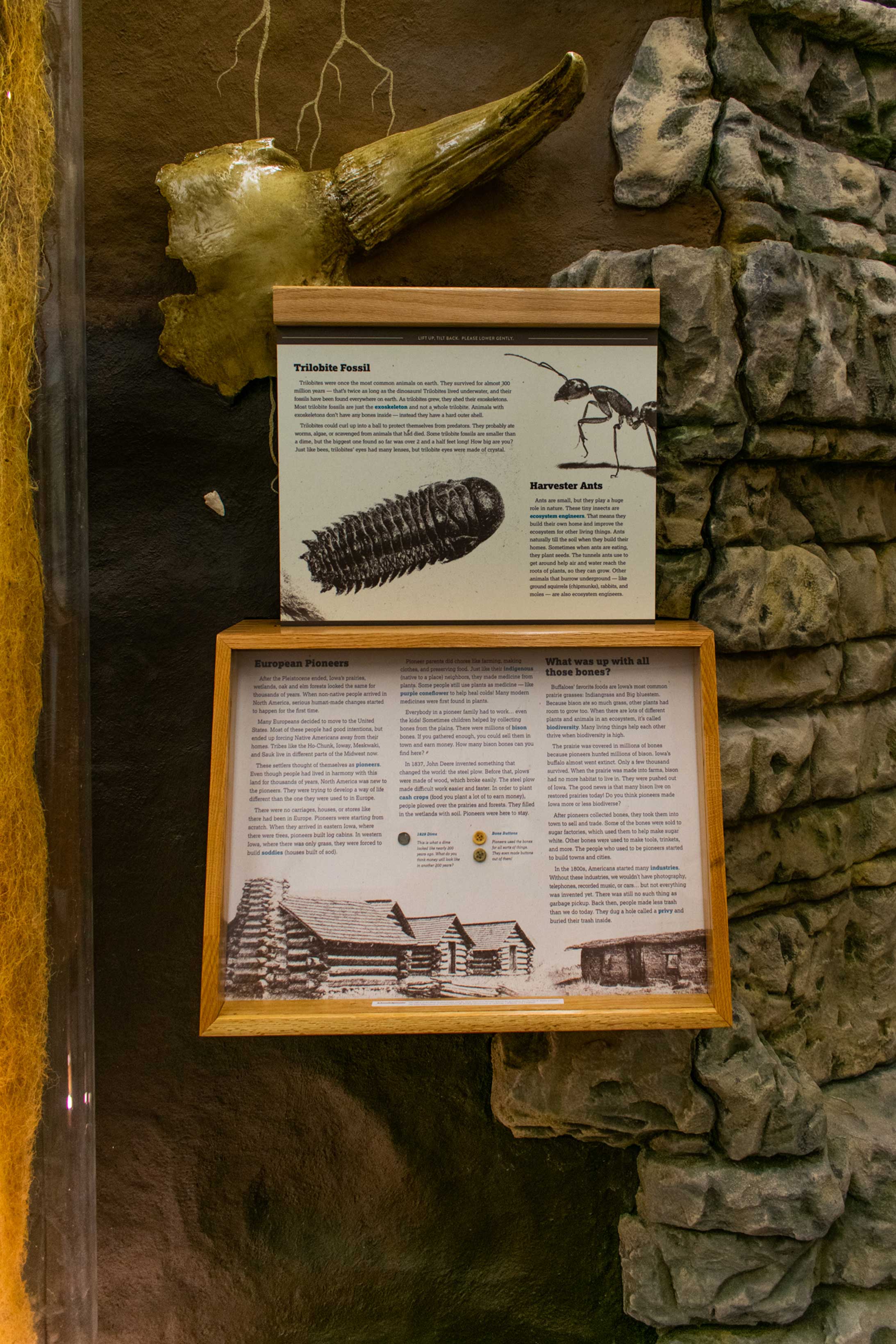 Customer story media