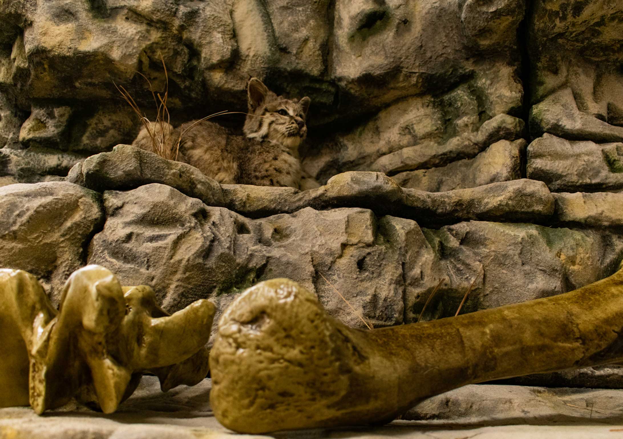 Customer story media