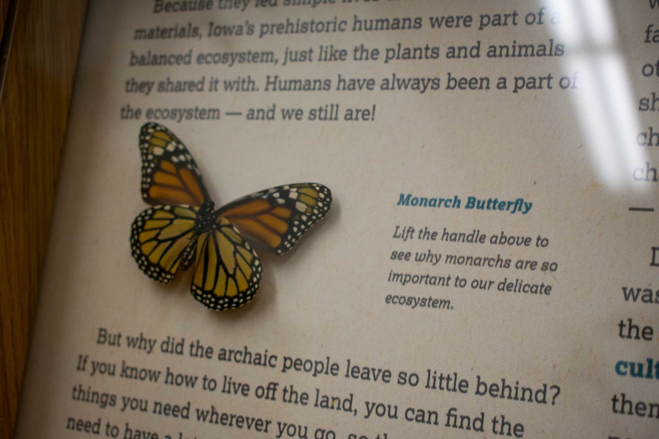 Customer story media