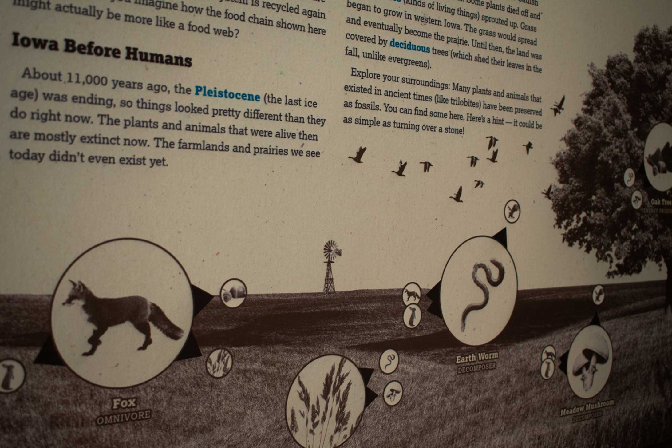 Customer story media