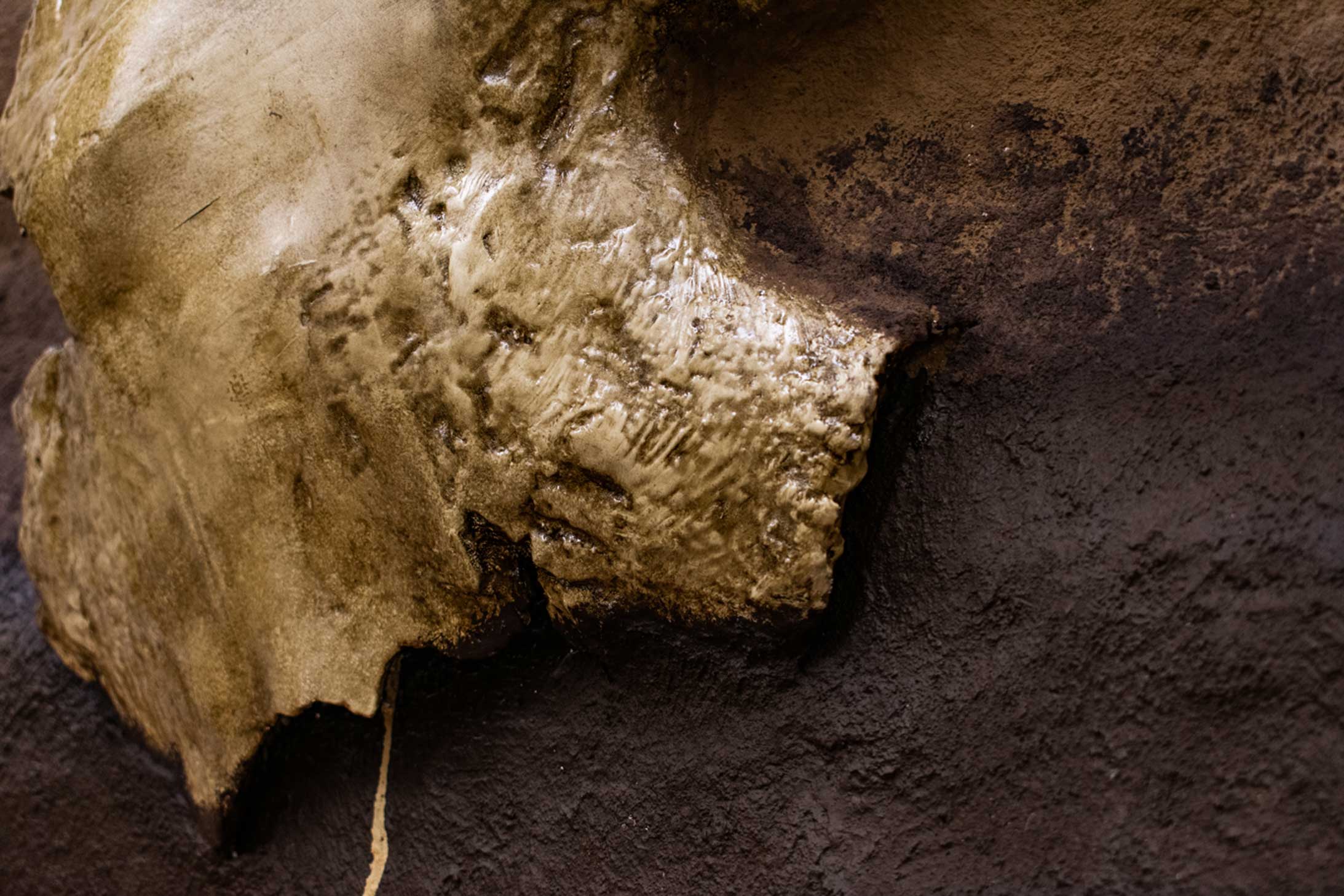 Customer story media