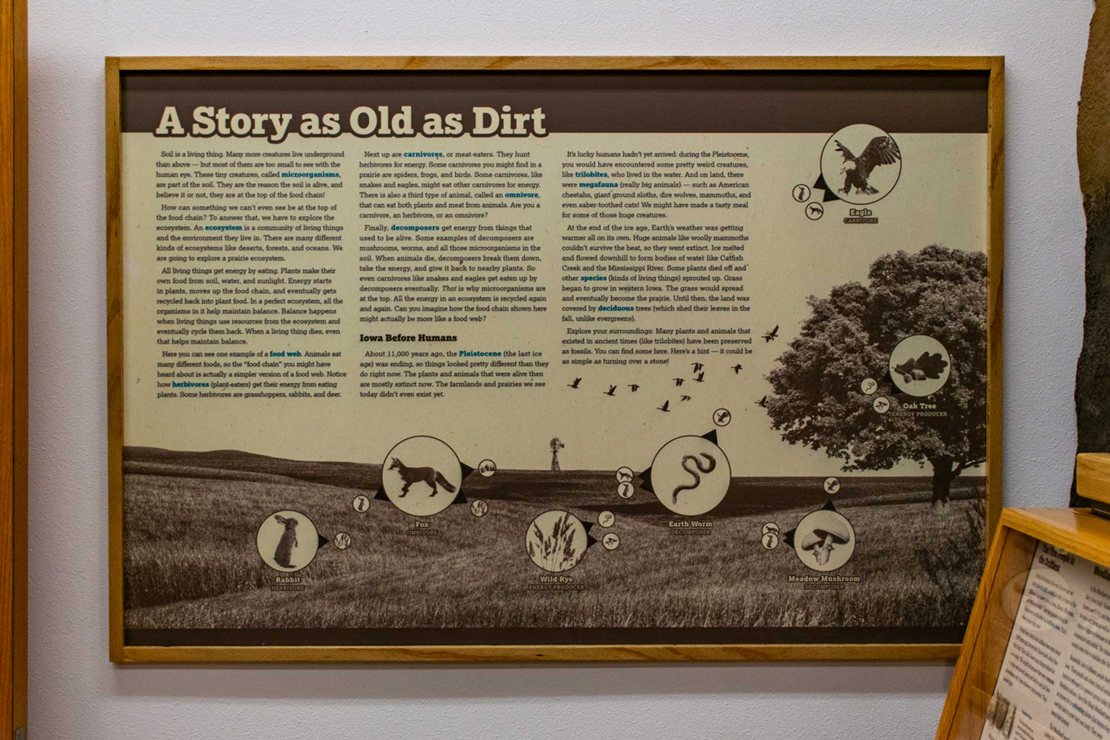 Customer story media