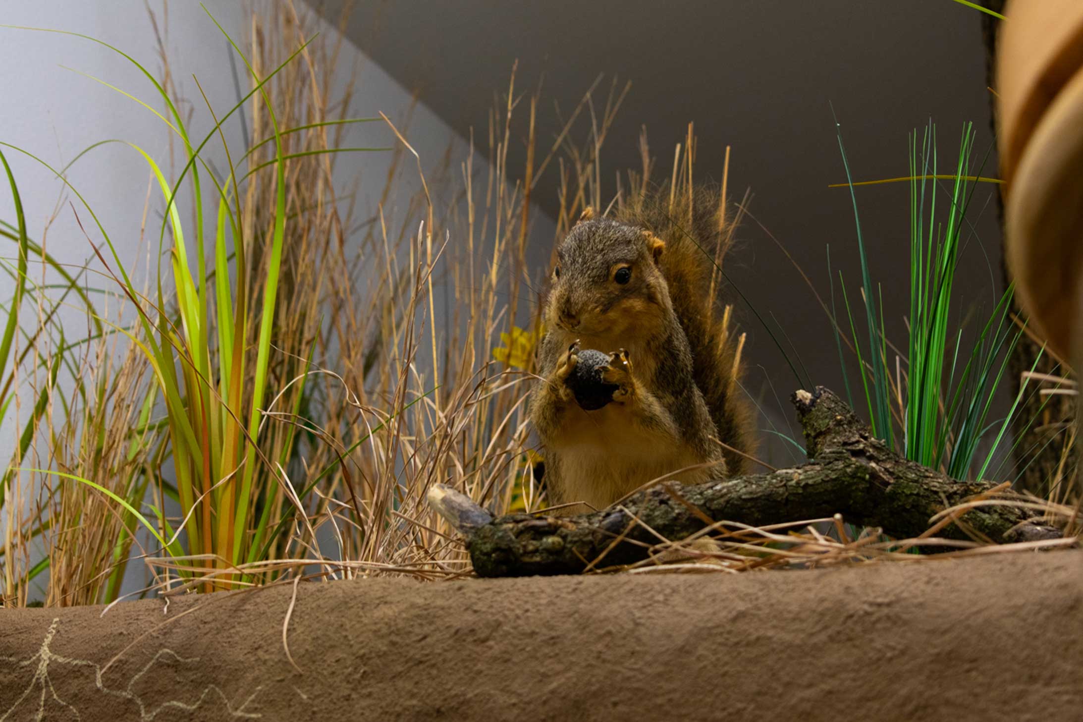 Customer story media